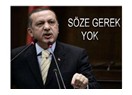Erdoğanokrasi…