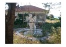 İki yüzsüz sevdalı