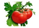 Doğal domatesim kalsın