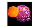 Kemoterapi, Radyoterapi ve Cerrahi müdahale kanseri yenemiyor…