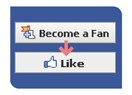 Facebook beğen butonu