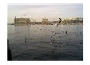 Bekle bizi İstanbul (1)