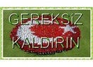 Cumhuriyet de ne? Kaldırın gitsin…