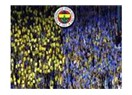 Yazık oldu Fenerbahçe'ye...