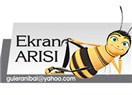 Ekranın ağlakları…