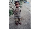Bir ses bir nefes