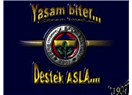 Fenerbahçe üzerinden oyunlara devam…