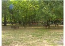 Köydeymiş gibi kahvaltısı