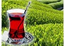 Rize Çay'ı nasıl marka olur?
