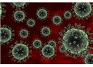 Hollandalı Bilim İnsanları Katliam Virüsünü niye üretti?
