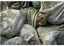 Durdurun şu cinayetleri: Ukrayna hayvan katliamı!