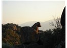 Dersim sana ders olsun...