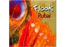 Rubai 27: Acı