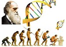 Darwin ve Evrim Teorisi