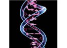 Epigenetik ve genetik hafıza