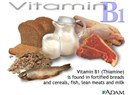 B kompleks vitaminleri - B1 vitamini / ''Beslenmenin  Diyalektiği''  (15)