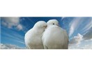 Süzme sözcükler 34: (Haiku)