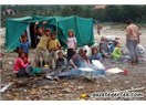 Anadolu Coğrafyasına Yayılmış Marabaların Dramı