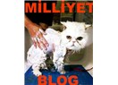 Blog'culara,  "Editörlük"  teklifi bekleniyor.