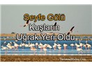 Kırşehir'e yolculuk, Seyfe Gölü'nü ziyaret (   4  )