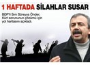 Kürtler Ne İstiyor? Bölünmek mi, Bölünmemek mi?