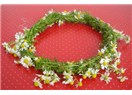 Başımın tacı