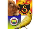 Fenerbahçelilere açık mektubumdur: