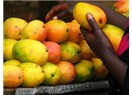 African mango ile zayıflamak