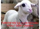 Okulun en devamsız öğrencisi