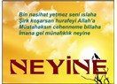 Neyine