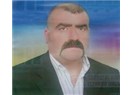 Yavru kurt Mehmet