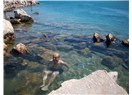 Rubai 40: Çeşme termal deniz