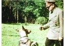Hitler'in 'konuşan köpek' ordusu