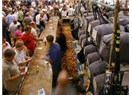 Festival savurganı kentler... Dere yatağında TOKİ'ler...