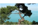 Büyükada insan ömrünü nasıl uzatıyor?