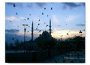 Taklalar 20: Günaydın
