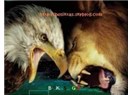 Beşiktaş: 3 - Galatasaray+hakem : 3