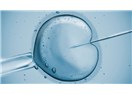 Mini tüp bebek tedavisi / mini IVF - yeni bir tedavi seçeneği