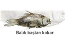 Şimdi ne olacak /haiku