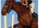 Dünya'da ata ilk binen kavim Türklerdir ve atlar ilk kez Türkler tarafından ehlileştirilmiştir.