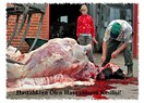 Hastalıklı hayvan etleri piyasada