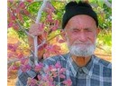 Zaman şiirleri . 3 : Fıstık yeme zamanı