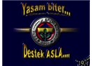 Fenerbahçe Avrupa Ligi maçlarından bu güne kadar ne kazandı?