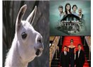 Orijinaline Tüküren ‘Uyar-Lama’lar…