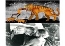 ‘Çok Güzel Film Olur’ dediğiniz hikâyeleriniz varsa…