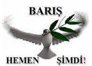 Kürtlerin özgürleşmesi, Türkleri de özgürleştirecek ama hangi Türkleri!