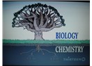 Evrim ve hayat dallarının birbirine bağlanması - Hayat ağacı 5