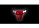 Boğalar şampiyon gibi oynadı: Chicago Bulls 93 – 76 Atlanta Hawks ( 03/02/2013 )