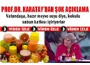 Hazır meyve sularında, sıvı sabunun içine konulan maddeler mi var?