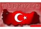 Türk sorunu- 2